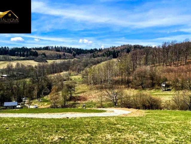 Wilcza 1 219 m², Wilcza