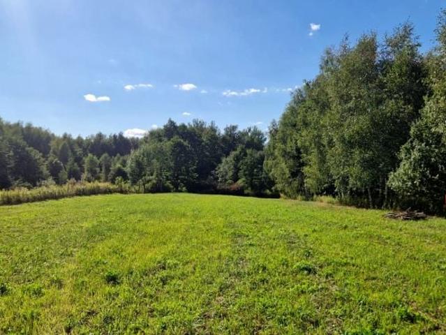 Wilcza 1 319 m², Tarnów