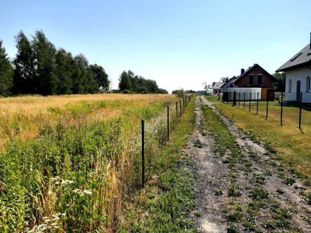 Wilcza 1 353 m², Tarnów