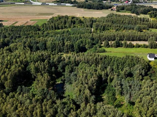 Wilcza 2 600 m², Tarnów