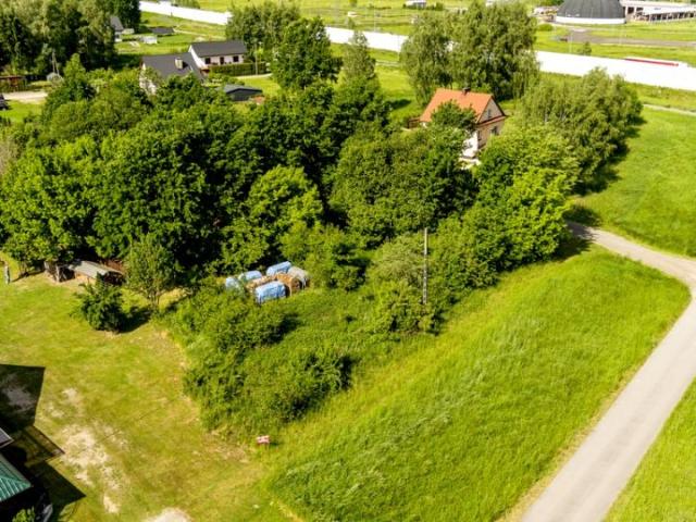 Wilcza 442 m², Tarnów