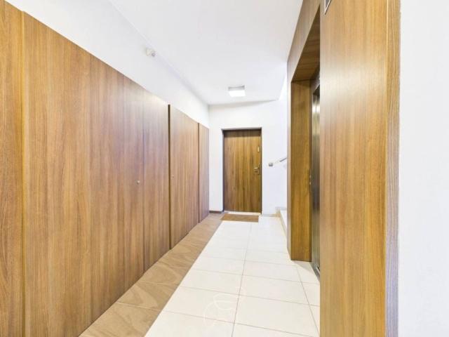 Wilczak 53,30 m², Poznań