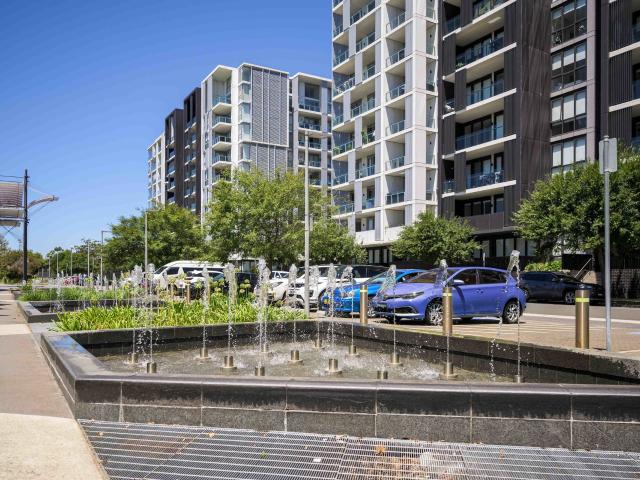 Wildwood Smart Design, Large Study