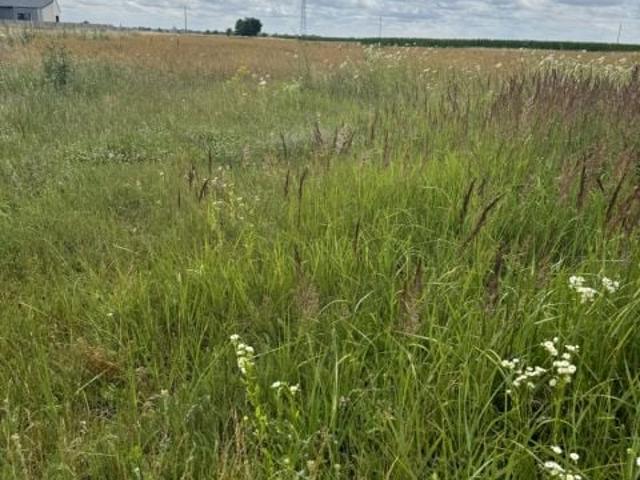 Wilkowice 1 890 m², Leszno