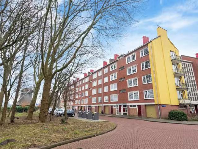 Willem Molengraaffstraat 15 3 Amsterdam