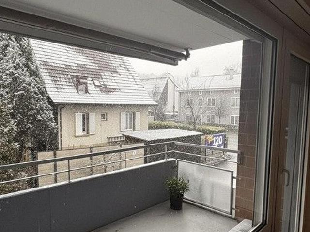 Willkommen im neuen Zuhause
