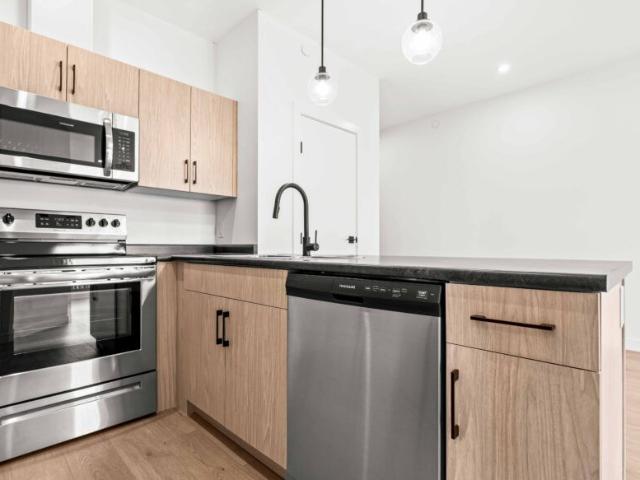 Willow: Grey Cabinets – 225 Peguis
