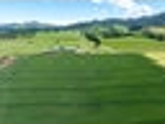 Willow Ridge