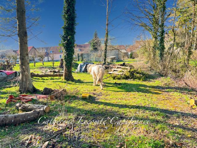 WIRWIGNES CORPS DE FERME RÉNOVÉ 152 M2 8 PIÈCES DÉPENDANCES 1,6 HECTARES