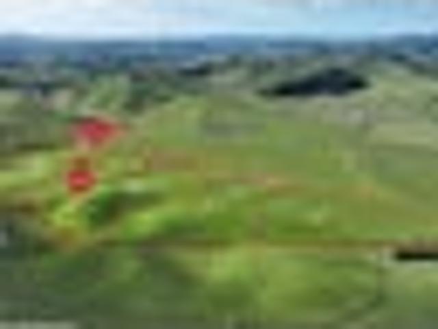 Wiremu Downs Country Estate