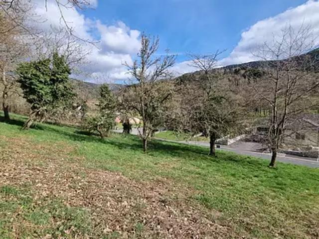 Wisembach 88520 Achat / Vente terrain