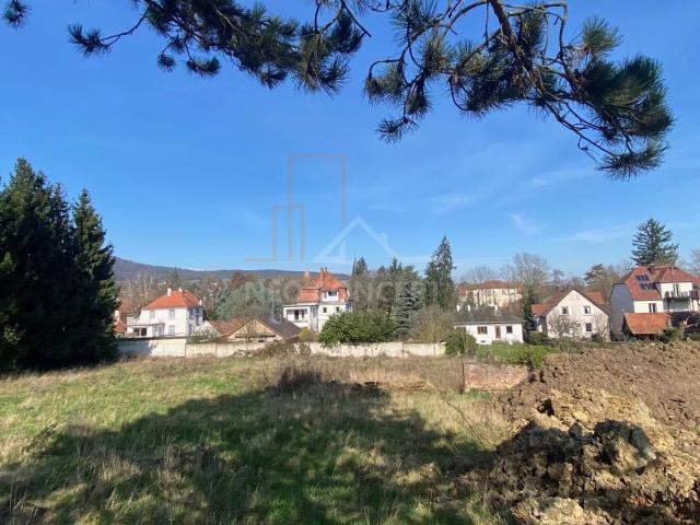 Wissembourg Vente Terrain 67