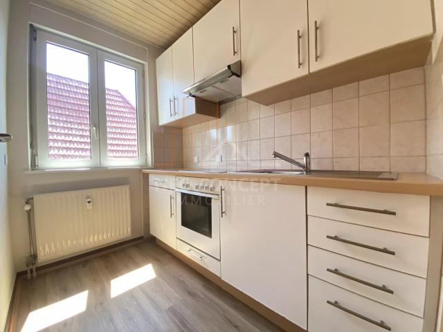 Wissembourg Location Appartement 67