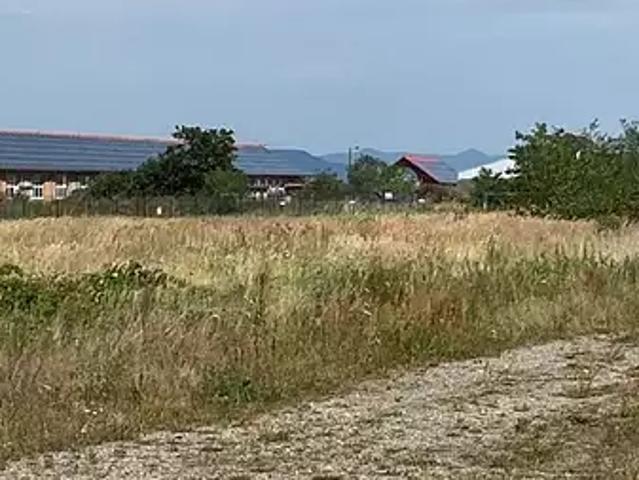 Wittelsheim 68310 Achat / Vente terrain