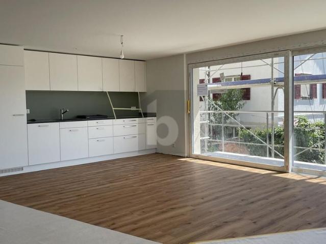WITH OWN WASHING TOWER AND GARDEN 70 M2