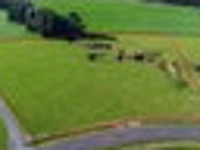 With a View to Lifestyle