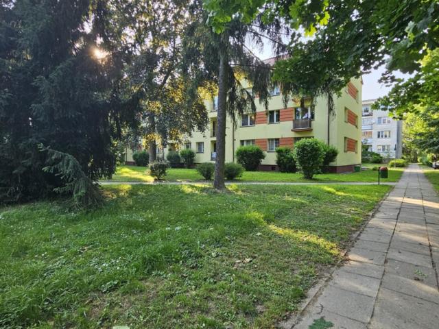 Witki, 39 m2