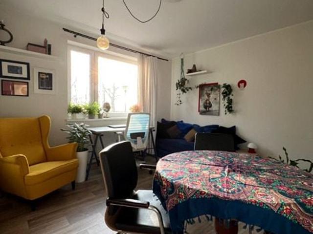 Witkowska 44,50 m², Wrocław