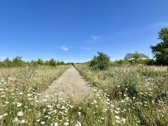 Wołczkowo | 805 m² | MPZP | Badania gruntu |