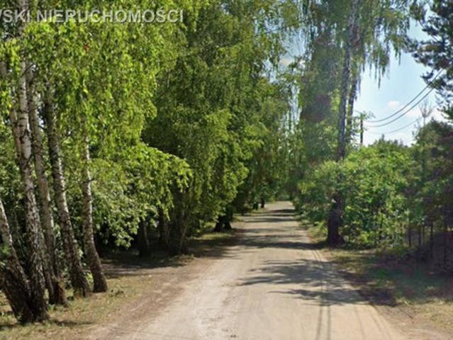 Wołomiński, Marki, Struga