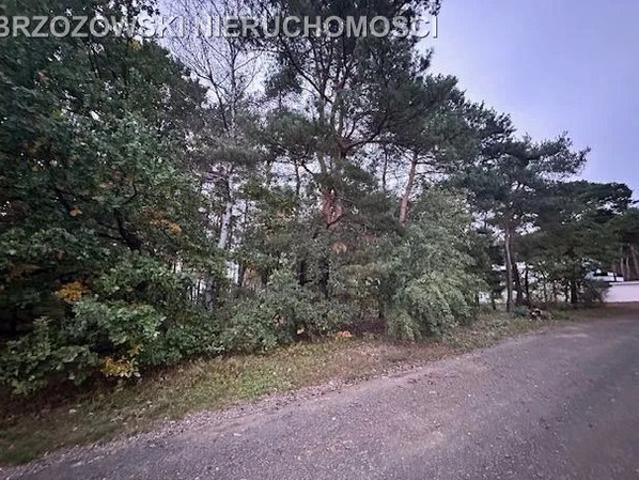 Wołomiński, Marki