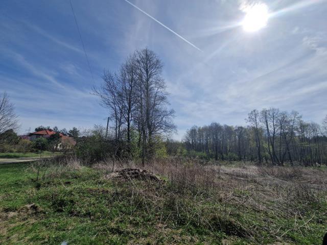 Wołomiński, Kobyłka, Zalasek