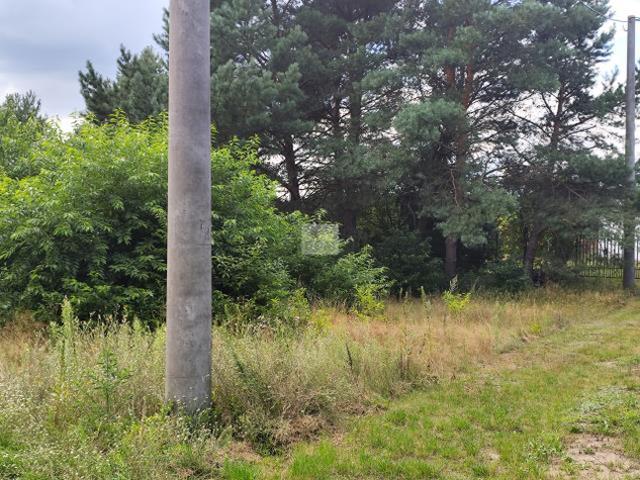 Wołomiński, Radzymin, Nowe Załubice, Opolska