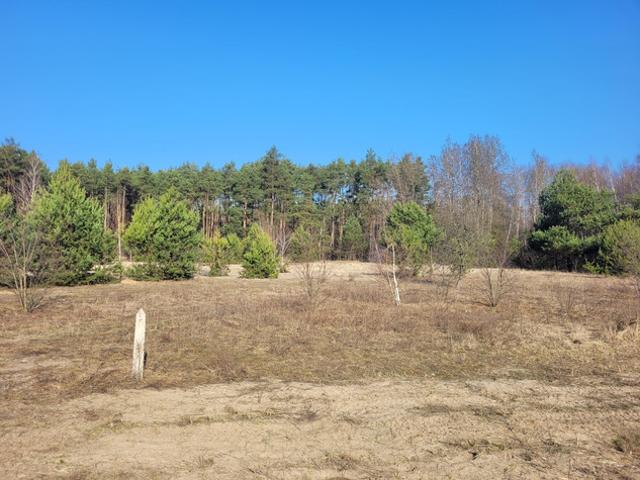 Wołomiński, Radzymin, Pogodna