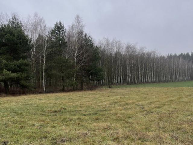 Wołomiński, Radzymin, Sieraków