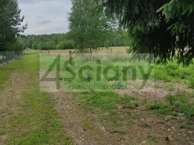 Wołomiński, Radzymin, Sieraków