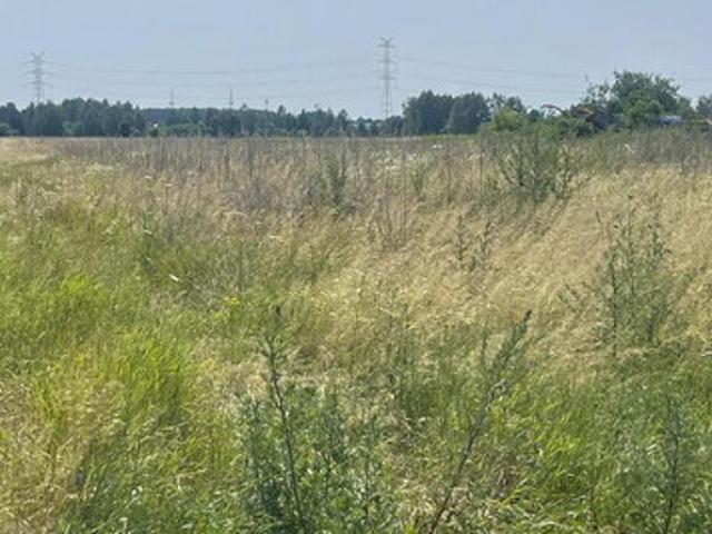Wołomiński, Radzymin