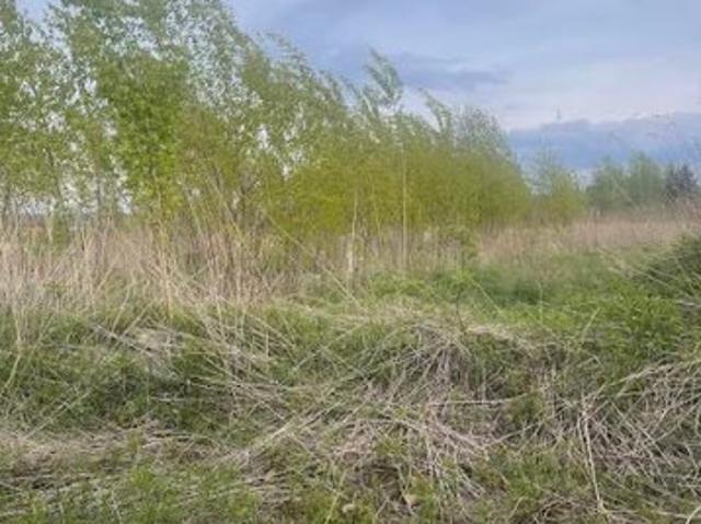 Wołomiński, Radzymin