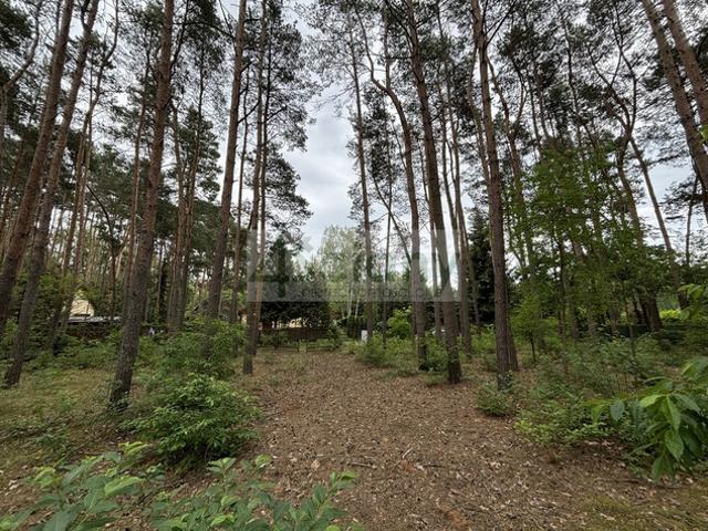 Wołomiński, Radzymin