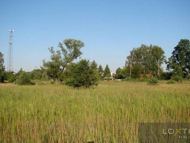 Wołomiński, Radzymin