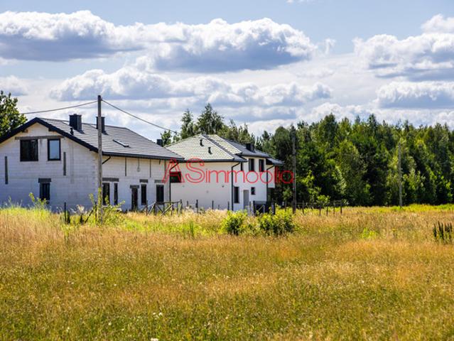 Wołomiński, Wołomin
