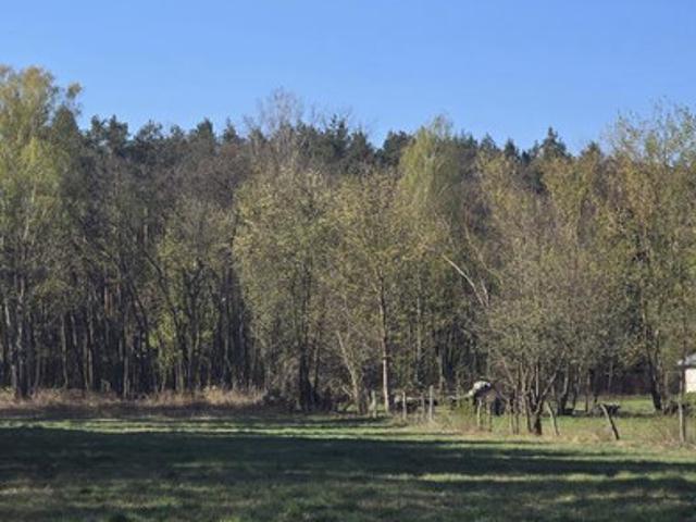 Wołomiński, Wołomin, Mironowe Górki