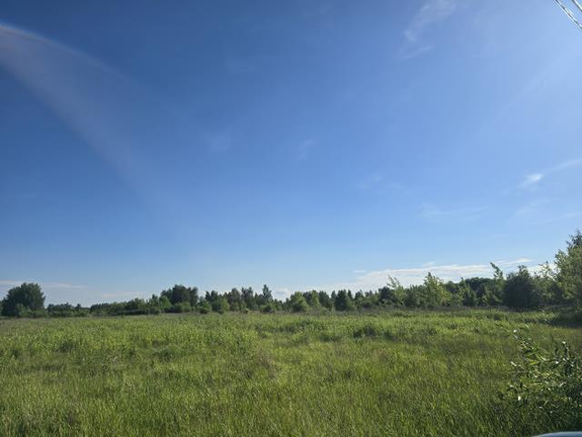 Wołomiński, Wołomin, Nowe Lipiny, Rolna