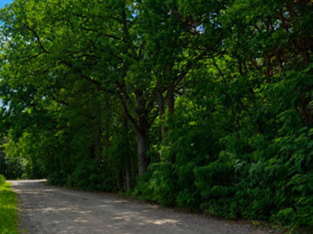 Wołomiński, Wołomin, Zagościniec