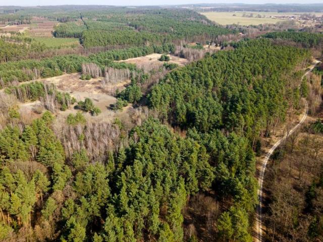 Wołowska 80 116 m², Rościsławice