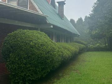 Wonderful cabin 8850m2 forest land 5 bedrooms huauchinango pue. MEX