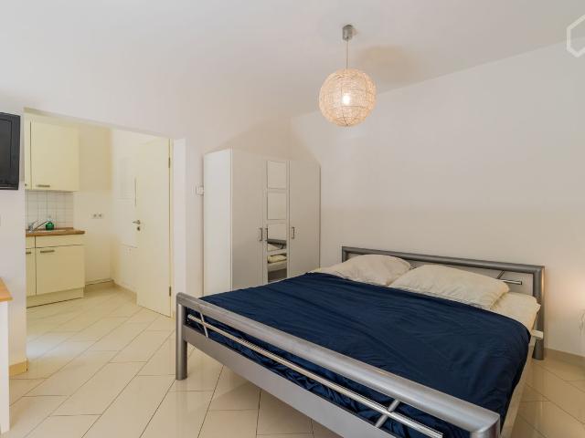 Wonderful and perfect loft in Mitte, Berlin, Berlin Amsterdam Apartments for Rent