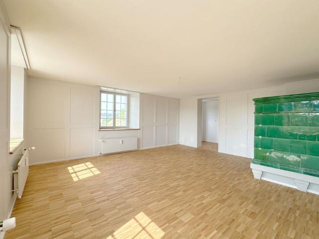 Wonderful Maisonette in the historic MEIERHOF!