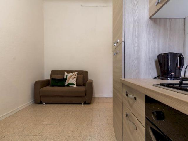 Single room in Via Francesco Brioschi