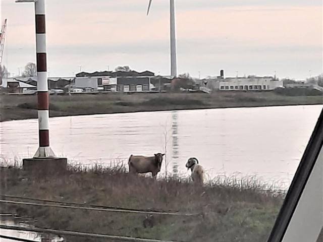 Woning aan de Westervoortsedijk te Arnhem