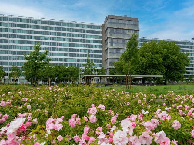 Woning te koop: Bos en Lommerplantsoen 11D 1055AA Amsterdam Vastgoed Nederland