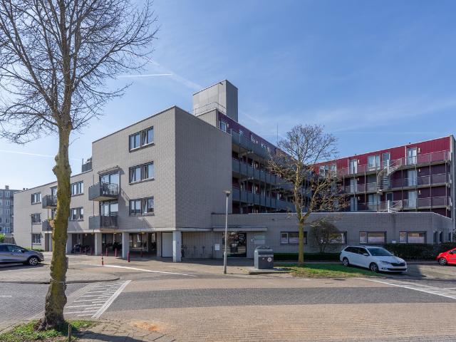 Woning te koop: Dr. Willem Dreessingel 245 6 CS Arnhem Vastgoed Nederland