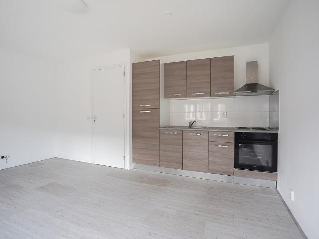 Woning te koop: Heerder Groenweg 17B 6224JL Maastricht Vastgoed Nederland