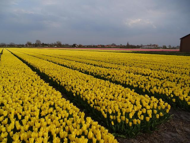 Woning te koop: Noorder Leidsevaart 26 2182NB Hillegom Vastgoed Nederland