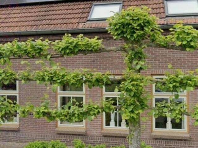 Woonhuis in Meierijstad