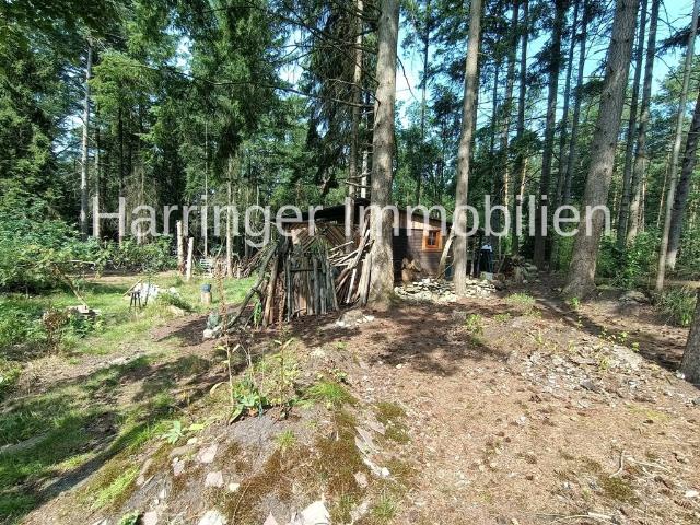 Wochenendhaus auf hellem Waldgrundstück!